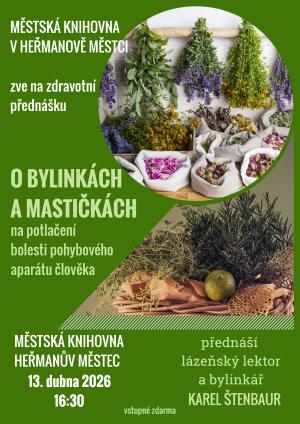 Městská knihovna přednáška